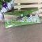 Student Scale Plastic Transparent Cute Beautiful Bird Ruler Set