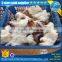 Frozen Cleaned Giant Squid Neck Daruma squid low price