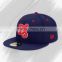 fashion design sports cap & hat,snapback hat,baseball cap