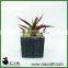 PVC Small Mini Fake Potted Aloe Plant in Black Square Pulp Pot for Wholeselling