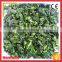 Bulk Iqf Frozen Spinach Chopped Puree