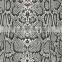Hydro dipping films /Hydrographic film patterns
