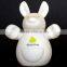 CE led zoo animal color changing animal led night lights