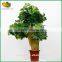 Good quality artificial money plant tree plastic artificial money tree