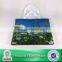 Lead Free Recycled Bottle Fabric Reusable Supermarket Easy Shopping Bag
