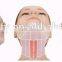 New Style China Hifu Face Lifting Forehead Wrinkle Removal Machine Bags Under The Eyes Removal