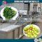 SGS certificate fruit and vegetable cleaning machine