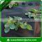 PP Spunbond Non woven Black Mulching Film/Weed Control Fabric/Black Ground Cover