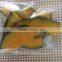 Supply VF Dried Vegetables Chips- VF Dried Pumpkin Slices for Hot Sales
