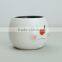 Factory Design Fashion Samll Flower Pot Painting Design