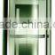 Fast Luxurious Glass Passenger Elevator Made in China