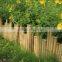Bamboo Pole and Newest Styles of Bamboo Fence