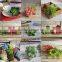 woodland wedding & garden accessories fake Sedum Hanging Stonecrop Green artificial mini succulents wholesale