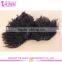 Cheap Wholesale Top Quality Raw Indian Hair Extensions 100% Unprocessed Virgin Indian Kinky Curly Remy Hair Weave