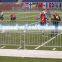 Security crowd control barrier fence/color coated temporary barrier fence