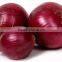 Sweet Red Onion Shipment in Refrigerator Container