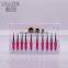 New Fashion Factory Directly High Quality Beauty 10Pcs Powder Blusher Brush Kit