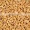 Soft Milling Wheat