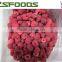 2015 crop IQF raspberry whole high quality