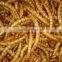 FD mealworm fish food