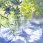 wholesale glass vases