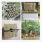 Agricultural rockwool cube/grow cube for plants growing