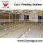 Hot salling poultry feeding system for Automatic Poultry farming equipment for Chickens