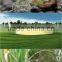 Nature modennite zeolite for water treatment