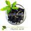 industrial use Ceramic Pug additive humic acid powder