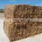 Big feeder crusher for Alfalfa bale