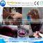 pomegranate juice processing machine pomegranate juice extractor machine