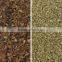 Hot selling nut processing color sorter in with new system