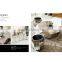 B506 Hot Sale Modern High Quality Dining Room Chair