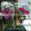 2017 popular wet floral foam for fresh flower decoration