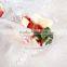 Apple Design Set 5 Engraving Large Cleat Decorative Glass Salad Bowls