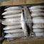 Frozen W/R Pacific Mackerel Good-quality Seafood Pacific Mackerel Fresh