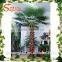 Gaungzhou Songtao Supplier Artificial Palm Tree Fake Plame Tree Fiberglass Artificial Palm Tree