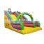 HI Top Quality Water Slide for Kids and Adults , Giant Inflatable Water Slide for Sale