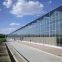 Multispan Glass Greenhouse for Large-scale Vegetable Production