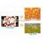 chicken/hen egg beating breaking cracking machine/hen egg separator
