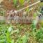 Machine for cut grass scallion shallot soybean straw broad bean pepper chilli,cutter cutting harvester