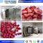 High quality Coconut freeze dryer FD machine for berry fruits lyophilizer