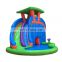 Commercial Inflatable Bounce House Water Slides Backyards Kids Water Slide With Pool
