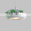 Modern plant chandelier and simple save energy lamp & coffee plants creative lighting