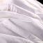 High Quality Customizable Quilts Thickened Wool Quilt Cotton Winter Quilt for Hotel