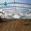Quick build customized highest quality steel structure warehouse or workshop building steel structures frame  Building