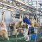 Sheep Equipment Foreleg Conveyor For Goat Slaughter House