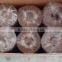 PVCmaterial Cling Film