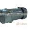 24V 250WDC mirco gear motor,spur gear reduce motor,