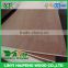 Hot selling!!! High quality commercial bintangor plywood 12mm plywood